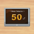 Metal Detector