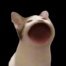 PopCat APK