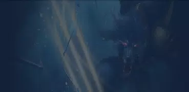 롤도 - 정보, 커뮤니티 (LoL, 롤토체스)