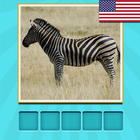 آیکون‌ Animals Quiz