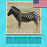 Animals Quiz guess and learn