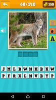 Animals Quiz poster