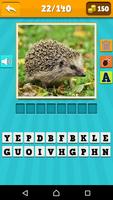 برنامه‌نما Animals Quiz عکس از صفحه