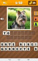 Dog Breeds Quiz screenshot 3