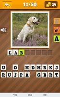 Razas de Perros Poster