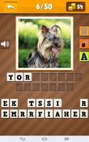 Rasy Psów Quiz screenshot 3