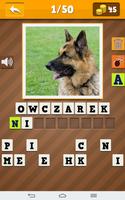 Rasy Psów Quiz screenshot 2