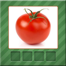 Vegetables Quiz-APK