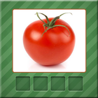 Légumes Quiz icône