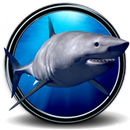 Great White Shark Real 3D aplikacja