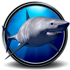 Great White Shark Real 3D أيقونة