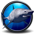 Great White Shark Real 3D أيقونة