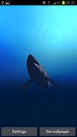 Great White Shark Real 3D الملصق