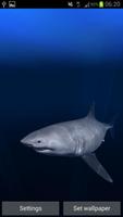 Great White Shark Real 3D تصوير الشاشة 1