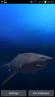 Great White Shark Real 3D تصوير الشاشة 3