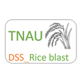DSS Rice blast