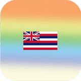 Hawaii Driver License 2024 ikon