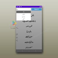 Kulyat e Iqbal Urdu (Complete) capture d'écran 1