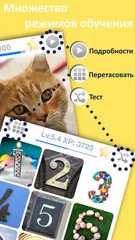 Скачать Учить Португальский&Португальс XAPK