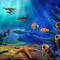 Aqua Life Free Live Wallpaper