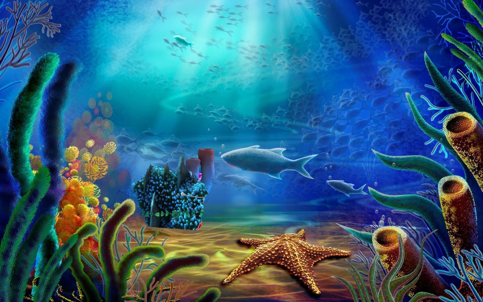 Aqua Life Free Live Wallpaper For Android Apk Download Aqua Life Free Live Wallpaper For Android Apk Download