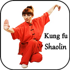 Apprendre le kung-fu icône