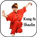 Learn kung fu icon