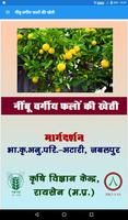 नींबू वर्गीय फलों की खेती پوسٹر