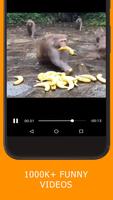 Videos For Kwai- Social Video Community Screenshot 2