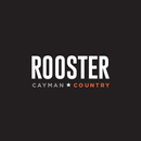 Rooster 101 APK