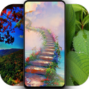 APK 4K Nature Wallpapers - Auto Wallpaper Changer