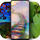 4K Nature Wallpapers - Auto Wallpaper Changer APK