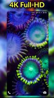 Underwater Wallpapers - Auto Wallpaper Changer capture d'écran 1