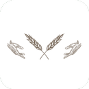 Семейное кафе Pane | Семей APK