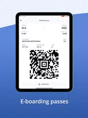 FlyArystan: buy flight tickets XAPK download