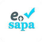 e-Sapa – проверка учетно-контр icône