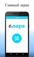 e-Sapa – проверка учетно-контр Affiche