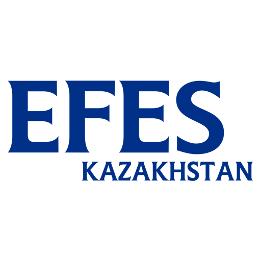 EFES E-Partner SCS
