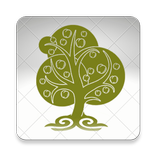 «Диуани Хикмет» -  Қожа Ахмет 