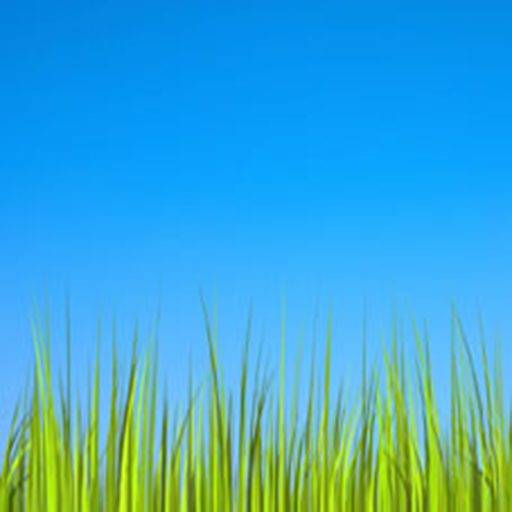 Grass LWP [Revamped]
