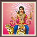 Swamy Ayyappan Namaskara Slokam APK