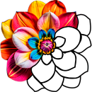 Bubble Color APK