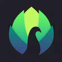 Peafowl Theme Maker for EMUI APK download