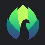 Peafowl Theme Maker for EMUI aplikacja