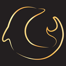 Ristorante Iruka APK