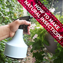 How to Make Natural Insecticide APK
