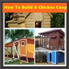 How To Build A Chicken Coop | DIY Chicken House icône
