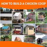 How To Build A Chicken Coop icon