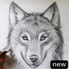 How To Draw Wolves icône