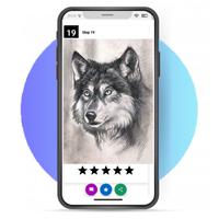 How To Draw Wolves Affiche